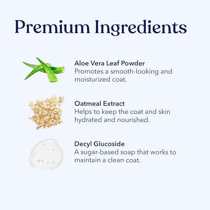 Honest Paws Dog Dry Shampoo - Waterless No Rinse Spray Formula Reducing Itch Cleanse Hydrate Nourish Dry Skin and Smelly Coat Help Decrease Odor Shedding and Allergies - Oatmeal & Lavender - 16 oz