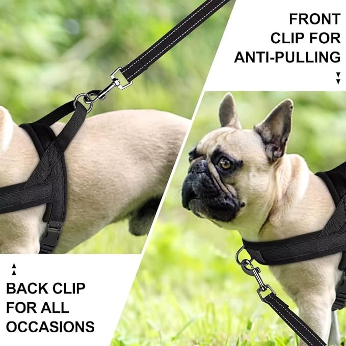 Beirui No Pull Dog Harness for Small Medium Dogs Puppies, Soft Neoprene Quick Fit Harness with Durable Front Clip & Back Clip, Lightweight Easy for Daily Walking (Black,M)