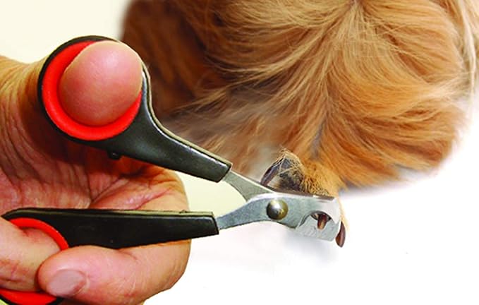 Lixit Grooming Kits For Rabbits, Guinea Pigs and other Small Animals. (4 Piece Kit)