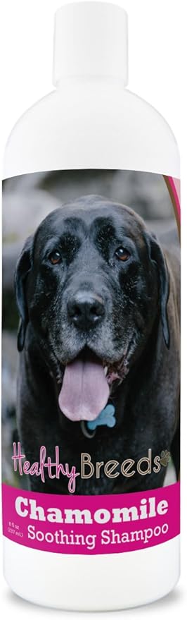 Healthy Breeds Mastador Chamomile Soothing Dog Shampoo 8 oz