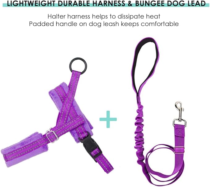 Lukovee Dog Harness and Leash Set, Soft Padded Small Dog Harness, Neck & Chest Adjustable Reflective Vest Puppy Harness with 4ft Lightweight Anti-Twist Dog Leash for Small Dogs (X-Small, Purple)