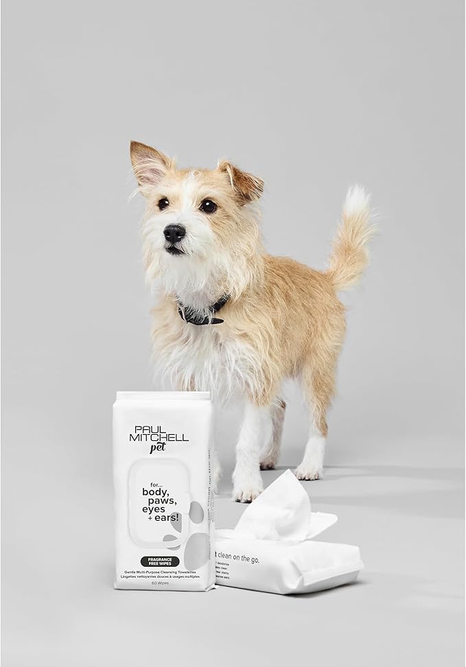 Fragrance Free Wipes, Gentle Multi-Purpose Cleansing Towelettes