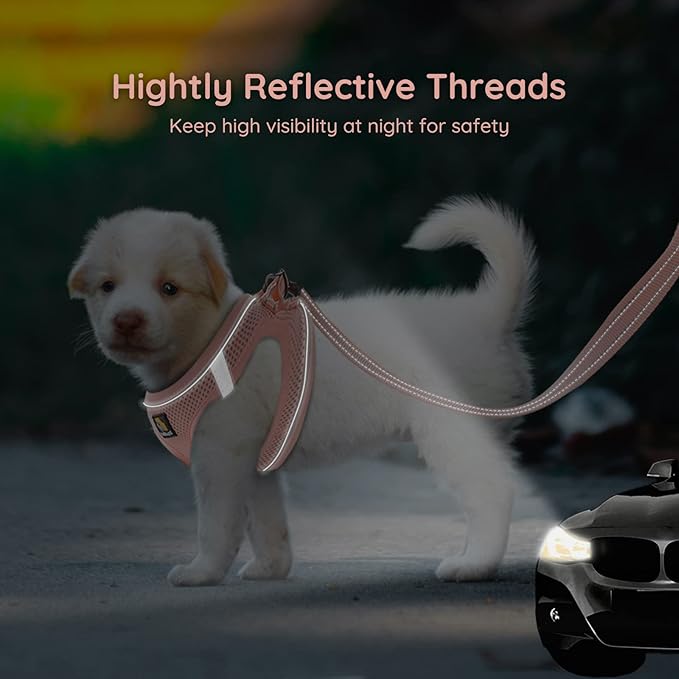 BELLA & PAL Puppy Harness with Leash Set, Dog Harness for Small Dogs No Pull, Dog Leash for Small Dogs, Step in Harness for Extra Small Dogs, Pink Harness, XS