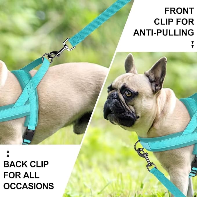 Beirui No Pull Dog Harness for Small Medium Dogs Puppies, Soft Neoprene Quick Fit Harness with Durable Front Clip & Back Clip, Lightweight Easy for Daily Walking (Blue,M)