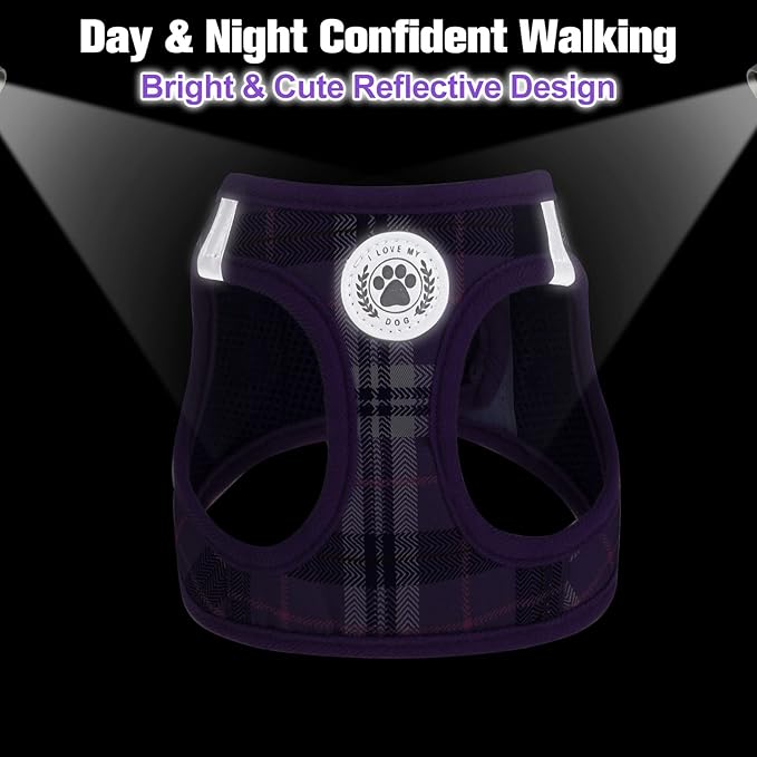 BEAUTYZOO Small Dog Harness and Leash Set, Step in No Chock No Pull Soft Mesh Dog Harnesses Reflective for Extra-Small/Small Medium Puppy Dogs and Cats, Plaid Dog Vest Harness for XS S Pets, Purple M