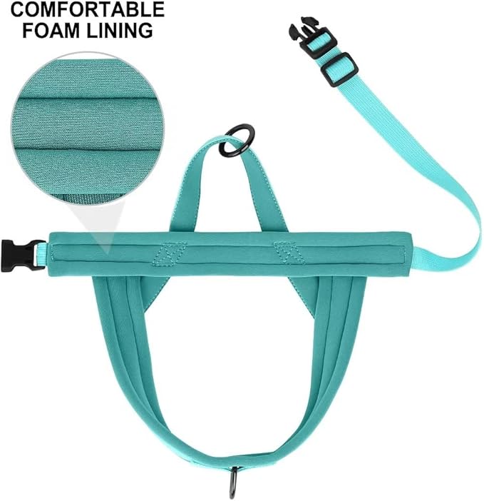 Beirui No Pull Dog Harness for Small Medium Dogs Puppies, Soft Neoprene Quick Fit Harness with Durable Front Clip & Back Clip, Lightweight Easy for Daily Walking (Blue,XS)