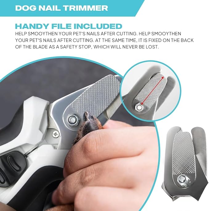 TwoEar Dog Nail Clippers with Light, Dog Nail Trimmers with Quick Sensor & Safety Guard, Razor Sharp Blade, LED Pet Nail Clippers/Dog Toenail Clippers for Medium Large Dogs, Black