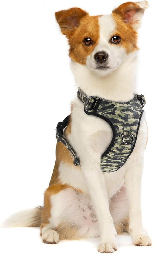 QQPETS No Pull Dog Harness with 2 Leash Clips,Adjustable Soft Padded Dog Vest, Reflective Outdoor Pet Oxford Vest with Easy Control Handle for Small to Large Dogs Walking Training