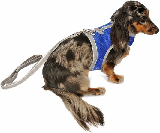 Athletic Mesh Dog Harness for Teacup, XSmall - Small Dogs and Puppies | Reflective Trim and Comfortable Velcro Closure