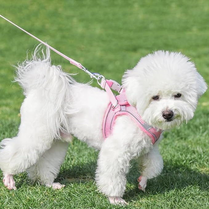 AIITLE Easy Walk Dog Harness and Leash Set - Pet Supply No Pull, Step in Adjustable Dog Harness with Padded Vest for Spring, Dog Harness No Choke Over, Easy to Put on Medium Dogs Pure Pink L