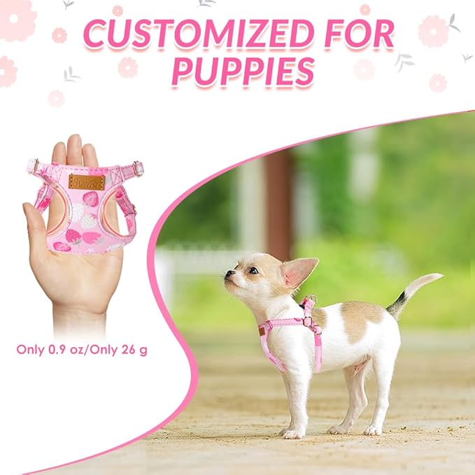 SlowTon No Pull Dog Harness with Leash - Soft Lightweight Floral Pattern Puppy Harness, Adjustable Pet Harness for Small Medium Dogs (Strawberry XS)