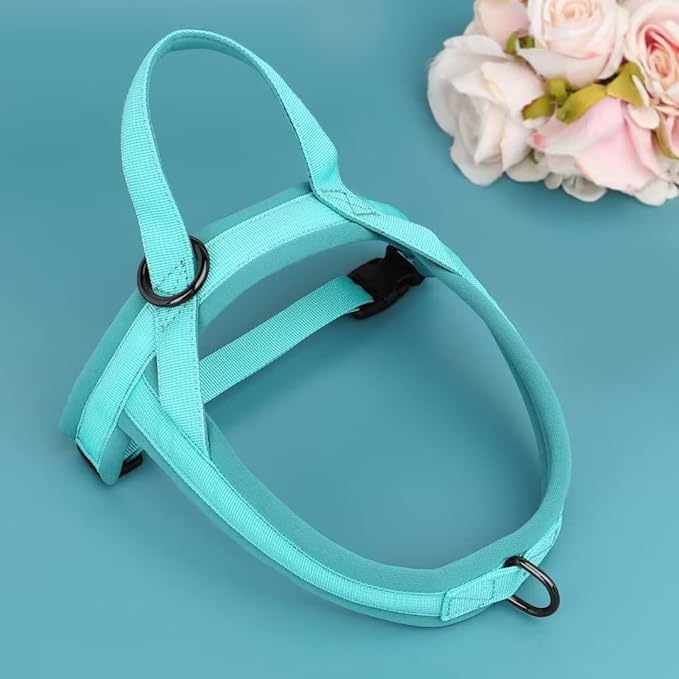 Beirui No Pull Dog Harness for Small Medium Dogs Puppies, Soft Neoprene Quick Fit Harness with Durable Front Clip & Back Clip, Lightweight Easy for Daily Walking (Blue,XS)