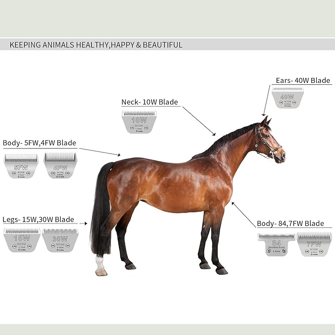 BESTBOMG Size 10W Wide Detachable Pet Dog Grooming Blades-Cutting Length 1/16"(1.5mm),Compatible with Andis,Oster A5,Wahl km10 Clippers