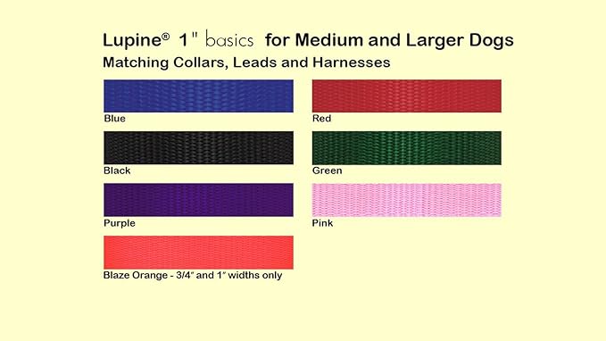 LupinePet Basics 1" Blaze Orange 25-31" Adjustable Collar for Extra Large Dogs