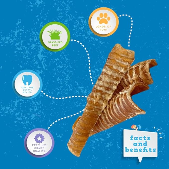 Jack&Pup 6" Flat Beef Trachea for Dogs | All Natural Single Ingredient Dog Treat Dog Trachea Chews | Savory and Fun Treat for Dogs (10 Pack)