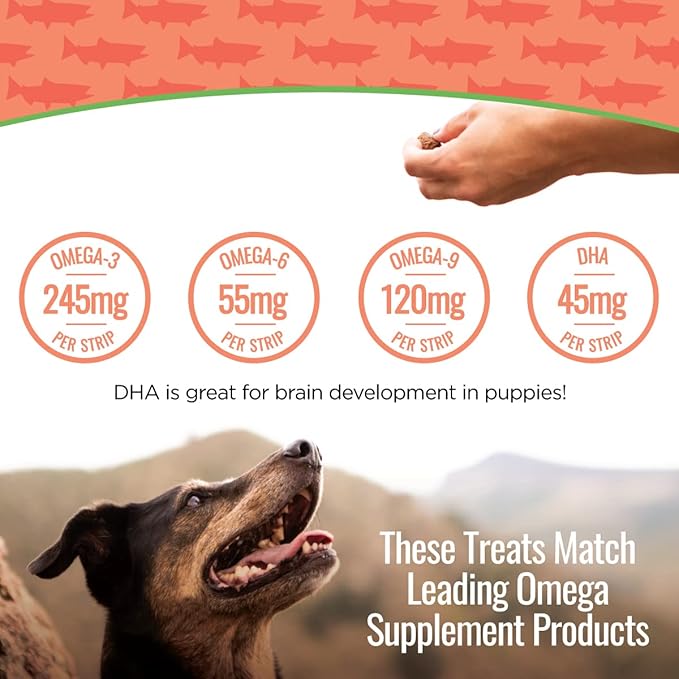 Smart Cookie Salmon Jerky Dog Treats - DHA, Omega Strips for Dogs & Puppies with Allergies, Sensitive Stomachs with Wild Caught Alaskan Salmon- Dehydrated, Grain Free, Made in USA - 3oz Bag, Pack of 3