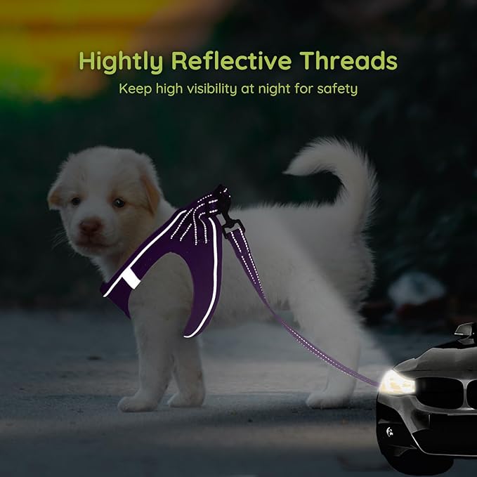 BELLA & PAL Puppy Harness with Leash Set, Dog Harness for Small Dogs No Pull, Dog Leash for Small Dogs, Step in Harness for Extra Small Dogs, Deep Purple Harness, S