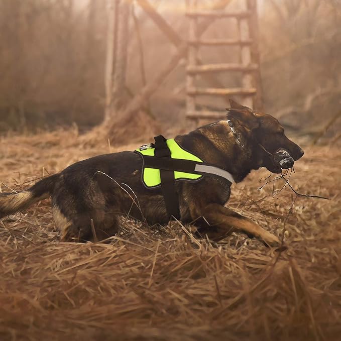 Bolux Dog Harness, No-Pull Reflective Dog Vest, Breathable Adjustable Pet Harness with Handle for Outdoor Walking - No More Pulling, Tugging or Choking (Green, L)