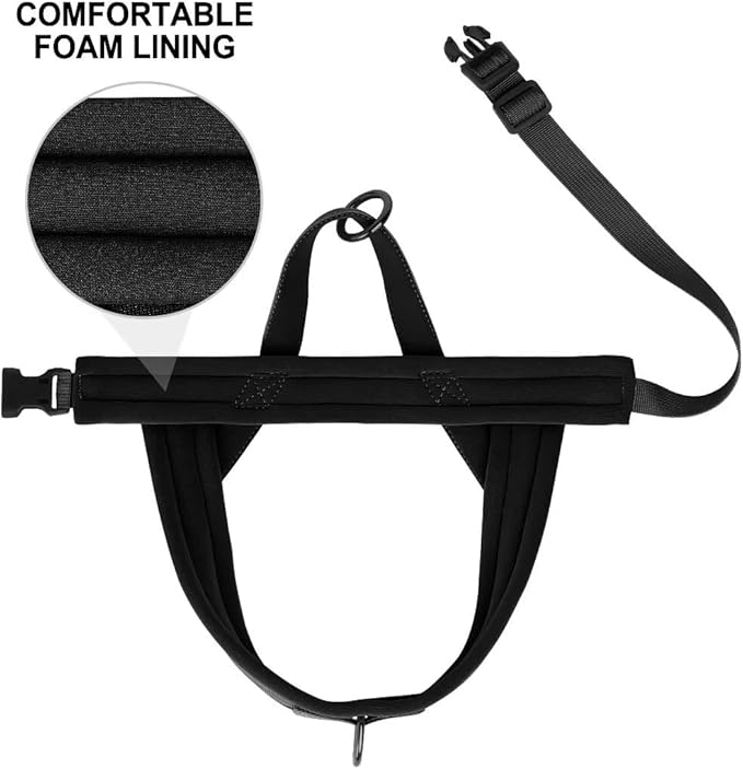 Beirui No Pull Dog Harness for Small Medium Dogs Puppies, Soft Neoprene Quick Fit Harness with Durable Front Clip & Back Clip, Lightweight Easy for Daily Walking (Black,M)