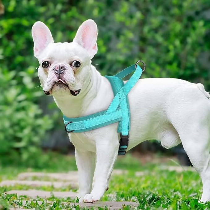 Beirui No Pull Dog Harness for Small Medium Dogs Puppies, Soft Neoprene Quick Fit Harness with Durable Front Clip & Back Clip, Lightweight Easy for Daily Walking (Blue,M)