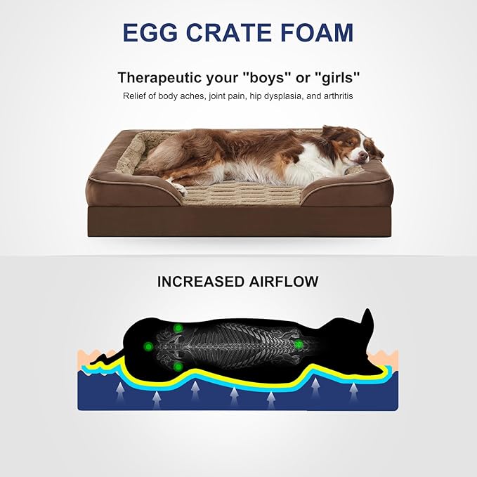 FURTIME Orthopedic Dog Beds for Small Dogs - Waterproof Small Dog Bed, Ultra Comfy Supportive Foam Pet Couch with Removable Washable Cover, Egg Foam Dog & Cat Beds with Nonskid Bottom
