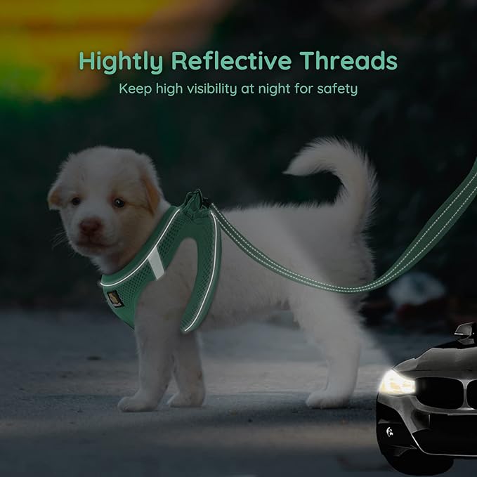 BELLA & PAL Puppy Harness with Leash Set, Dog Harness for Small Dogs No Pull, Dog Leash for Small Dogs, Step in Harness for Extra Small Dogs, Green Harness, M