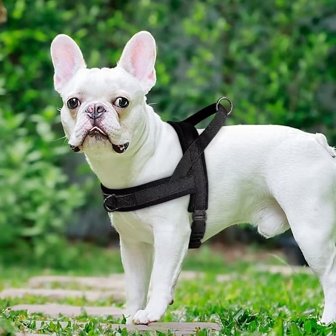 Beirui No Pull Dog Harness for Small Medium Dogs Puppies, Soft Neoprene Quick Fit Harness with Durable Front Clip & Back Clip, Lightweight Easy for Daily Walking (Black,M)