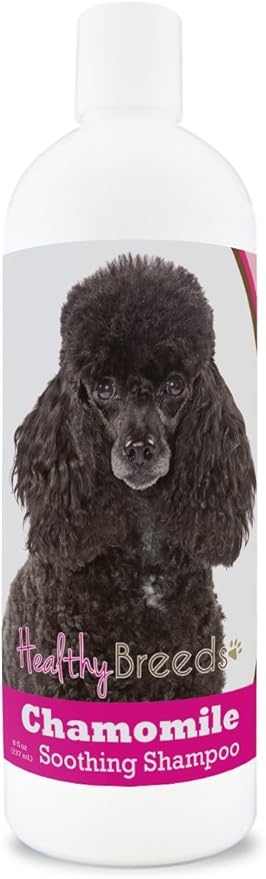 Healthy Breeds Poodle Chamomile Soothing Dog Shampoo 8 oz