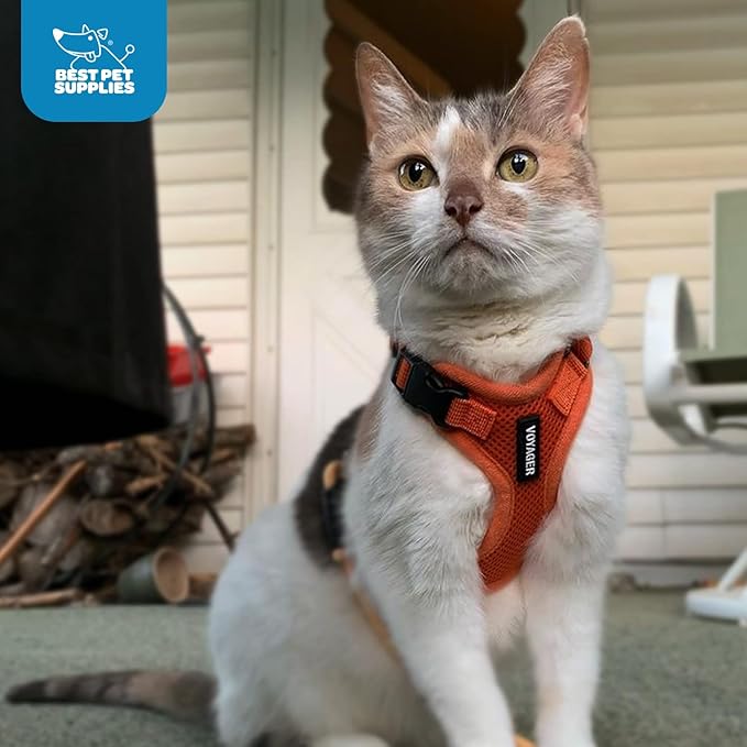 Voyager Step-in Lock Pet Harness - All Weather Mesh, Adjustable Step in Harness for Cats and Dogs by Best Pet Supplies - Orange, XS