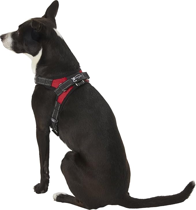 Dog Harness Small Sized Dog - All Weather Mesh overhead adjustable no pull Vest Puppy reflective Harness with handle for Small and Medium Dogs by Copatchy - Harness (Red) Small