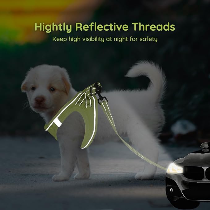 BELLA & PAL Puppy Harness with Leash Set, Dog Harness for Small Dogs No Pull, Dog Leash for Small Dogs, Step in Harness for Extra Small Dogs, Avocado Green Harness, S