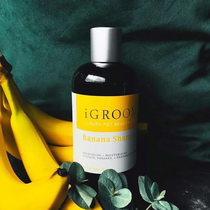iGroom Banana Dog Shampoo, Luxury Pet Beauty Care, Nutrient-Rich Banana Extract, Nourish & Moisturize, Made in USA, 16 oz