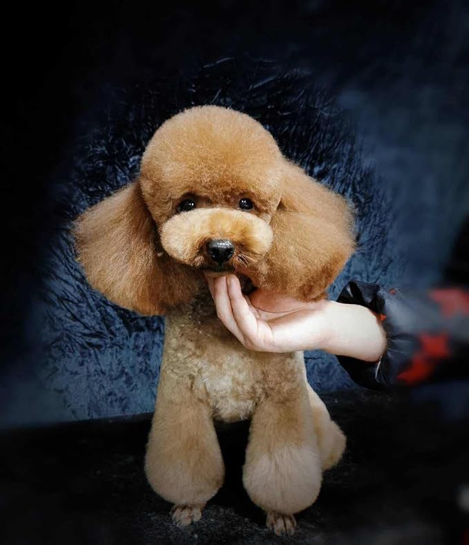 Dog Grooming Scissors,Pet Grooming Scissors,Thinning Shears great for Groomers and Home Grooming