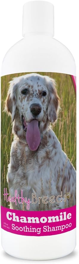 Healthy Breeds English Setter Chamomile Soothing Dog Shampoo 8 oz