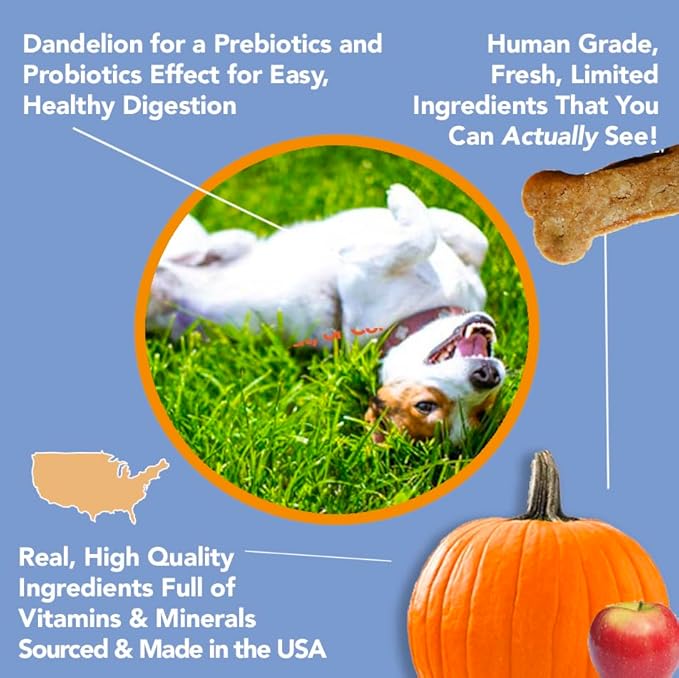 Marcy's Pet Kitchen- All Natural, Crunchy, Pumpkin Biscuit Dog Treats - Homemade - Crunchy Approved- Vegan, Gluten Free, Human Grade Ingredients, Made in The USA, Healthy Pumpkin Dog Treats