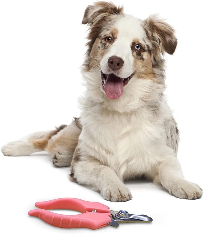 Pet Cut Nail Clippers for Small Medium Animals Cat Dog Claw Trimmer Home Grooming - Stainless Steel Kit Tool for Tiny Bunny Rabbit Bird Puppy Kitten Ferret