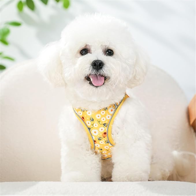 Step in Dog Harness No Pull Honeybee Adjustable Soft Mesh Padded Reflective Pet Vest Harness and Leash Set for Small Medium Dogs