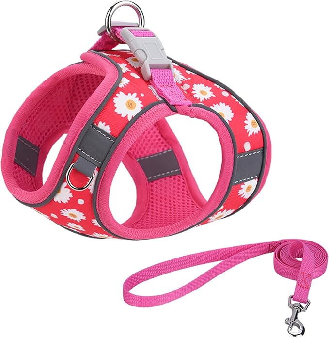 Step in Dog Harness No Pull Flower Adjustable Soft Mesh Padded Reflective Pet Vest Harness and Leash Set for Small Medium Dogs
