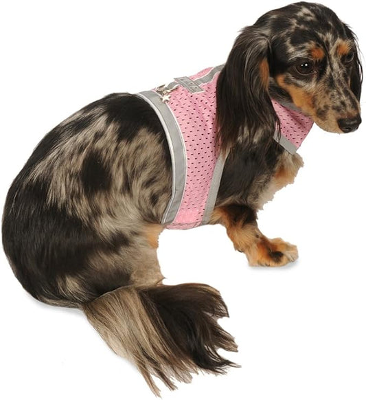 Athletic Mesh Dog Harness for Teacup, Teacup 4 - Small Dogs and Puppies | Reflective Trim and Comfortable Velcro Closure