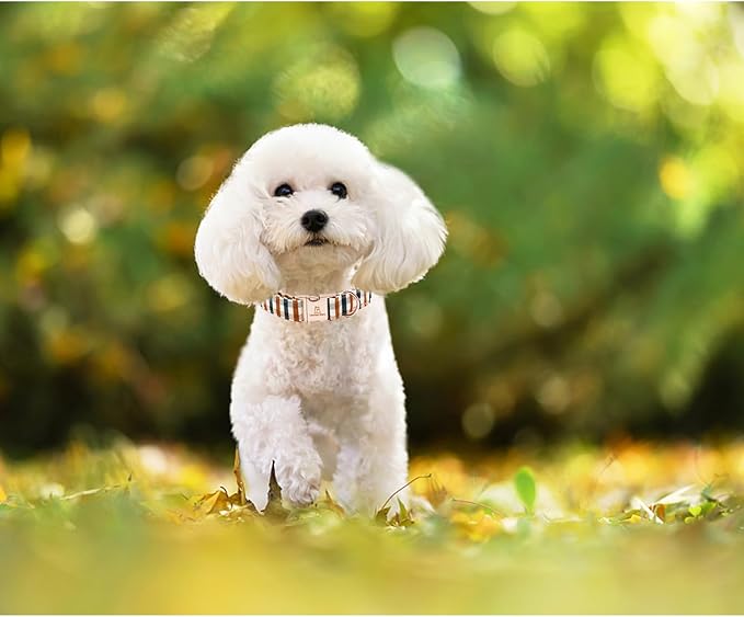 Lionheart glory Plaid Dog Collars Fall Dog Collar Heavy Duty Adjustable Dog Collar for Large Collar Dog Female or Male Dog Collar