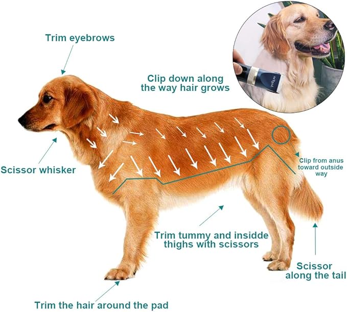 Dog Clippers for Grooming, 16pcs Dog Grooming Kit for Small & Large Dogs, Professional Cordless Dog Hair Clippers with Low Noise, Rechargeable Pet Grooming Tools for Cats & Dogs