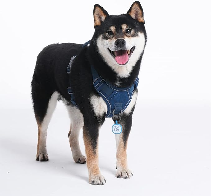 Pawaii Dog Harness for Small Dogs, Dog Harness with Pet ID Tag, No Choke Dog Harness, Adjustable Soft Padded Pet Vest with Easy Control Handle