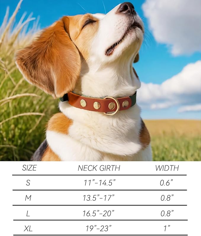 Premium Genuine Leather Dog Collar - Durable 4.5mm Thick, Color-Blocking Design with Rose Gold Hardware, Available in 4 Sizes for Small, Medium and Large Dogs, Green 16.5-20 in