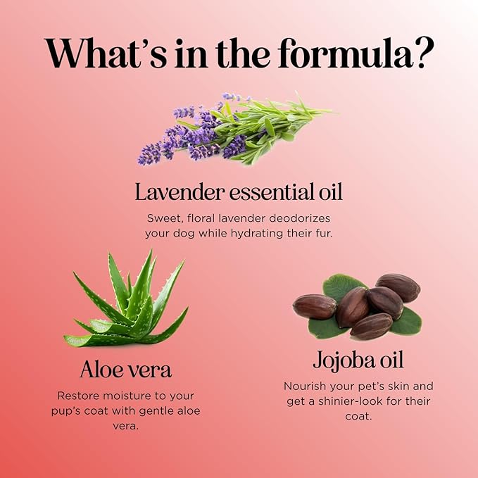 Soothing Oatmeal Shampoo for Dogs - Cleansing and Moisturizing Aloe & Oatmeal Dog Shampoo for Smelly Dogs of All Ages & Breeds - Gentle Sulfate and Paraben Free Dog Wash Made in USA (Sweet Fruity)