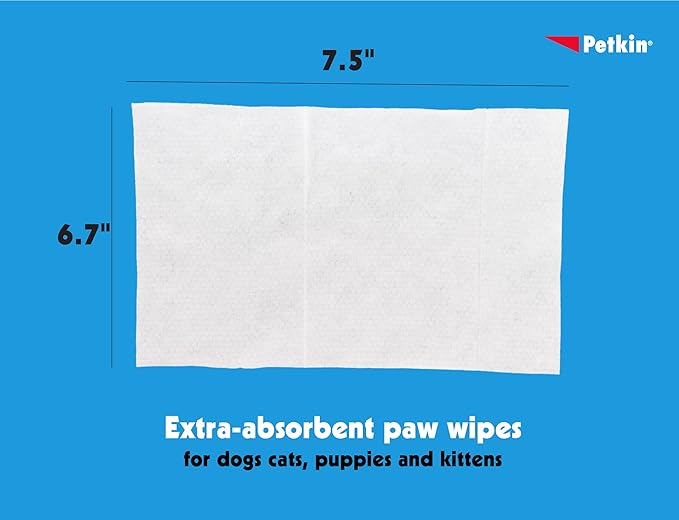 Petkin Paw Wipes Plus, 200 Orange Scented Wipes, 2 Pack - Absorbent Pet Paw Wipes Remove Daily Dirt & Odors - Enriched with Paw Balm Protectant -Easy to Use Pet Wipes for Dogs, Cats, Puppies & Kittens