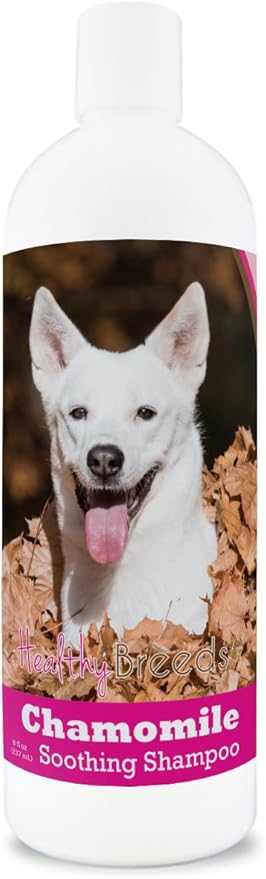 Healthy Breeds Canaan Dog Chamomile Soothing Dog Shampoo 8 oz