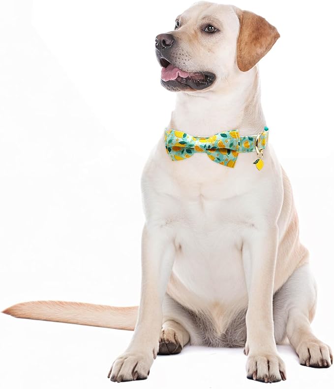 Fashionable Dog Collar with Bow Tie for Small Medium Large Dogs,Cute and Soft Puppy Collar for Male Female Dogs, Durable Cotton Dog Collar with Adjustable Buckle Lemon Pattern (Medium, Yellow Lemon)