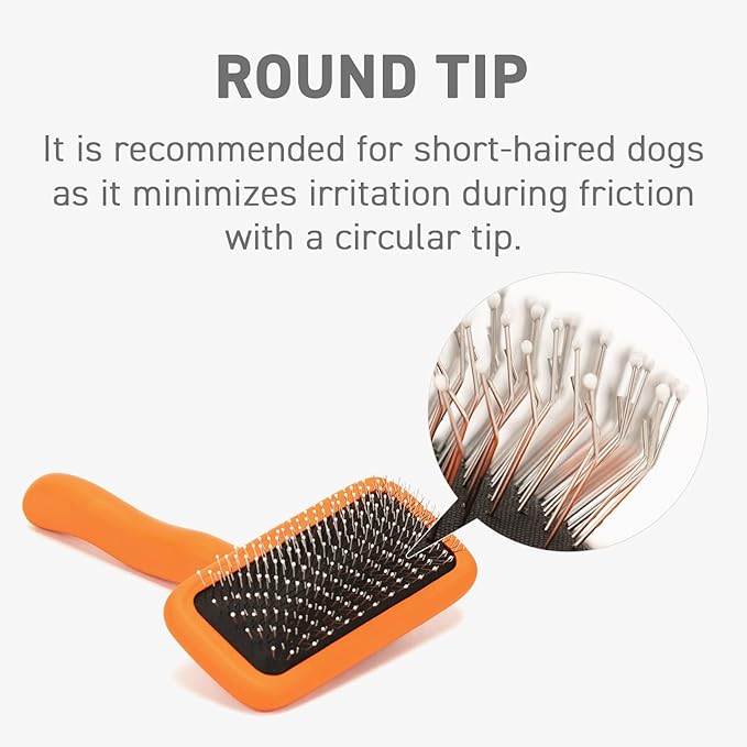 GOODSDECO Pet Slicker Brush - Dog Brush with Soft Tips, Grooming Brush for Dog Cat Pet, Self Cleaning Slicker Brush, Dematting Shedding Fur Hair (Round Tips)