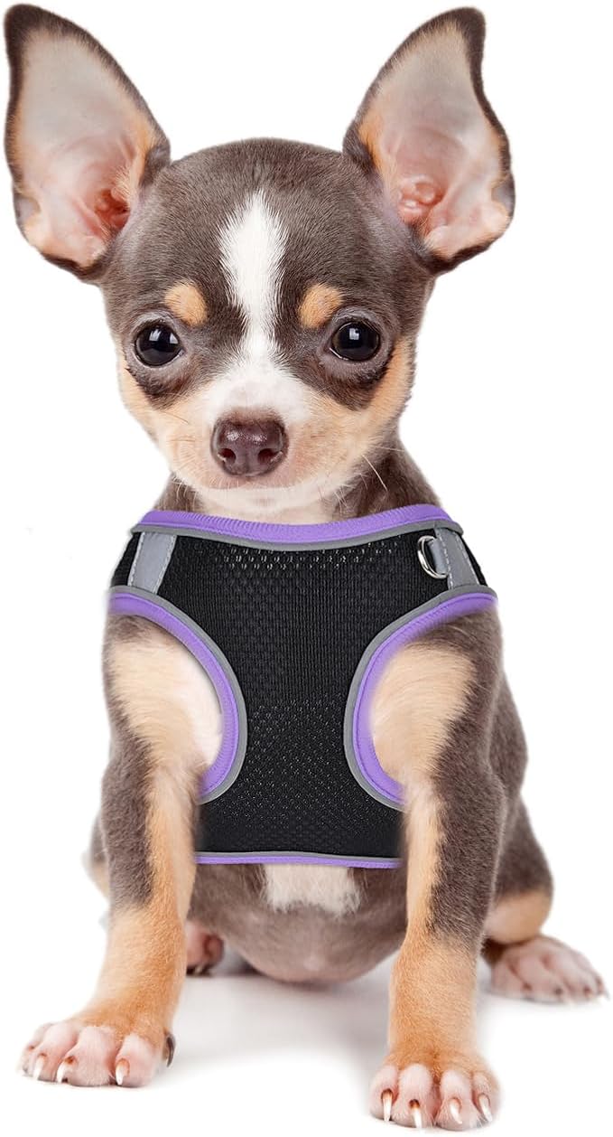 Dog Harness and Leash Set No Pull Step in Dog Harness with Reflective Bands Escape Proof Mesh Dog Vest Harness Leash with ID Tag