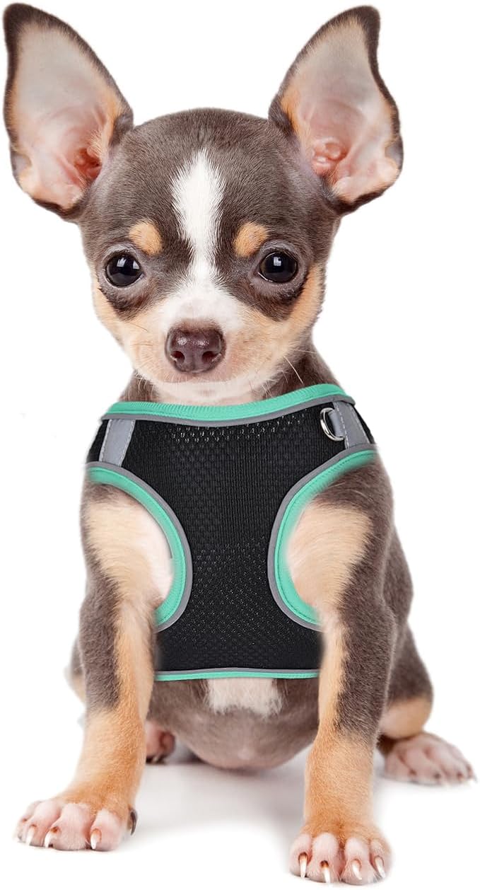 Dog Harness and Leash Set No Pull Step in Dog Harness with Reflective Bands Escape Proof Mesh Dog Vest Harness Leash with ID Tag